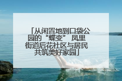 从闲置地到口袋公园的“蝶变” 凤里街道后花社区与居民共筑美好家园